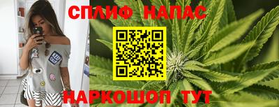 прущие грибы Мариинск