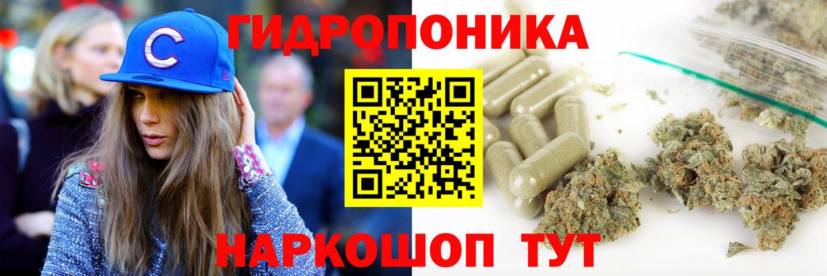Шишки марихуана семена Чернушка
